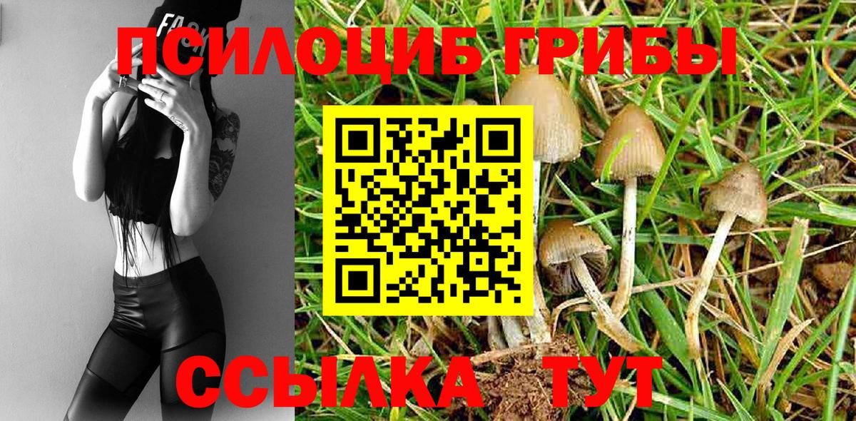 Псилоцибиновые грибы прущие грибы Конаково
