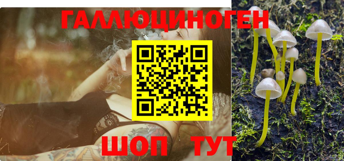 Конаково  Псилоцибиновые грибы мицелий  купить наркотики сайты  Вход с VPN 